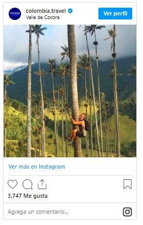 Valle del Cocora