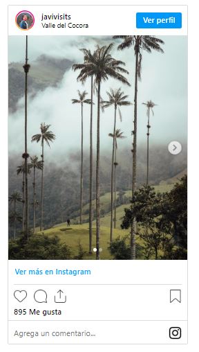 Valle del Cocora