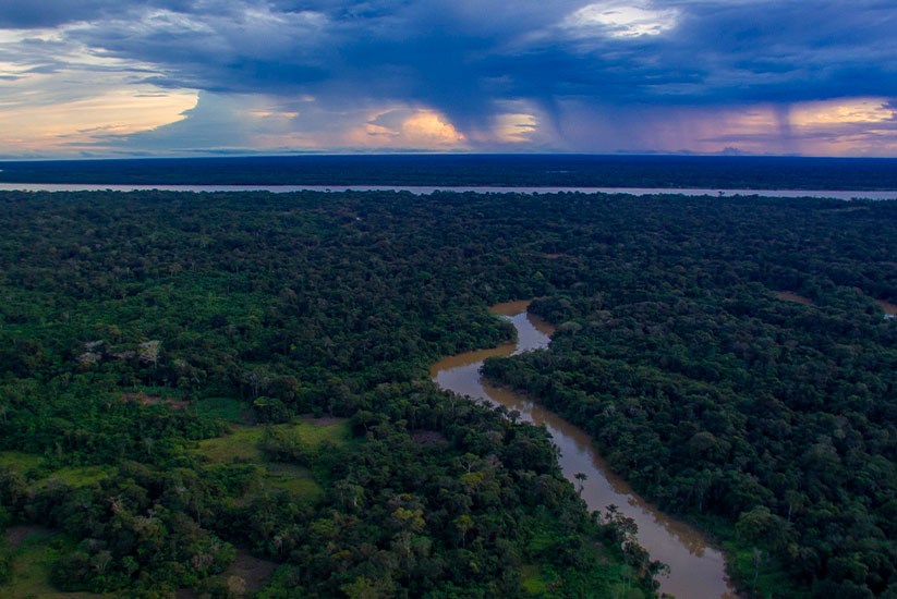 Amacayacu landscape 