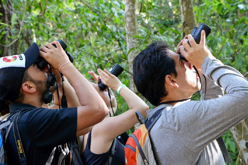 Tour de avistamiento de aves en Colombia.
