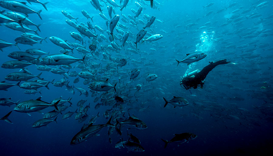 must-visit places for diving in Colombia