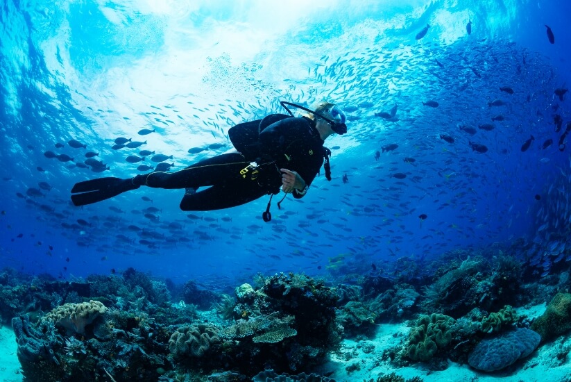 Bucea en el golfo de Urabá