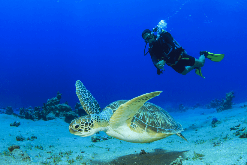 underwater