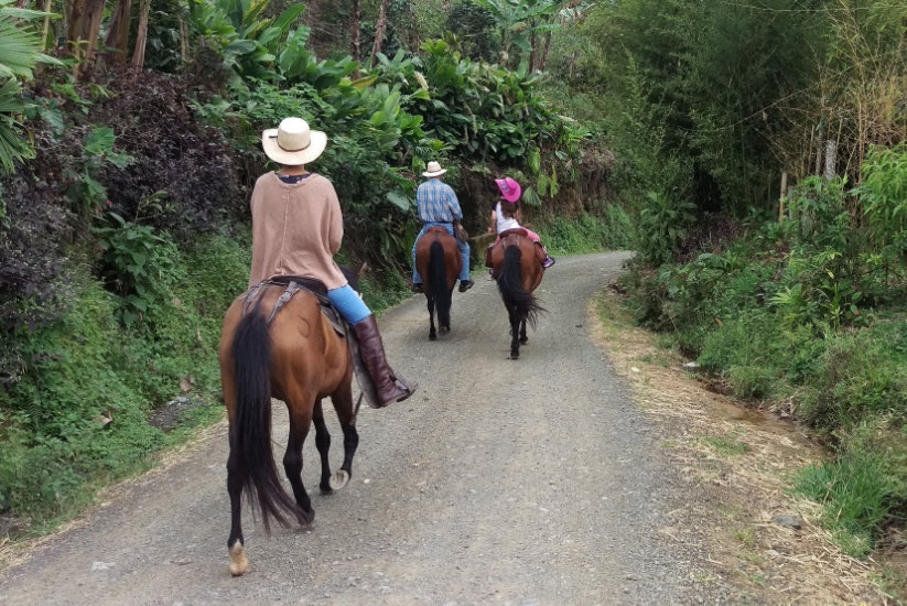 Cabalgatas cafeteras