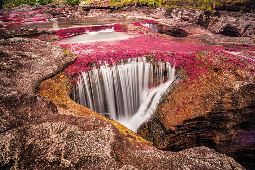 Caño Cristales, La Macarena, Meta.