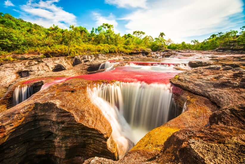 Caño Cristales