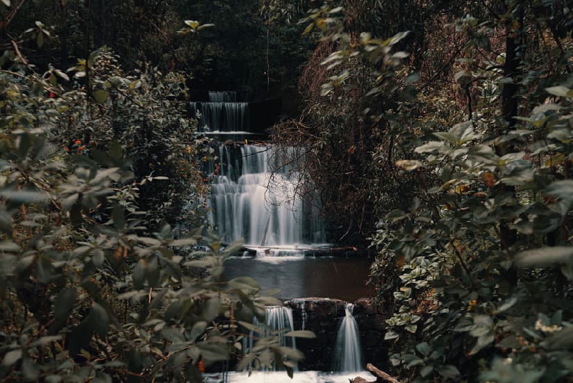 Cascada Chusque Sendero San Francisco – Vicachá 