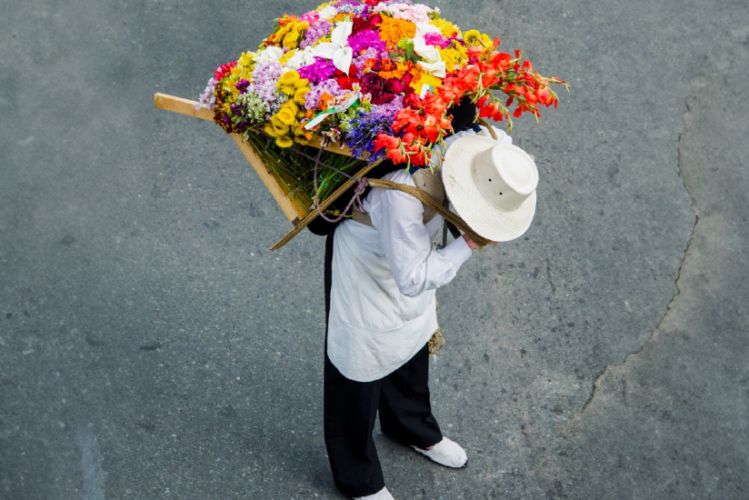 在 Feria de las Flores 上的 Desfile de silleteros, Medellín, Colombia.