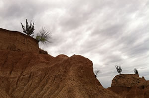Imagen desierto de la tatacoa