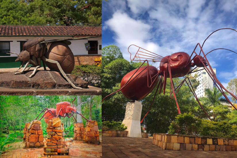 Sculptures of the large ant in El Gallineral Park (San Gil), Barichara, and Bucaramanga.