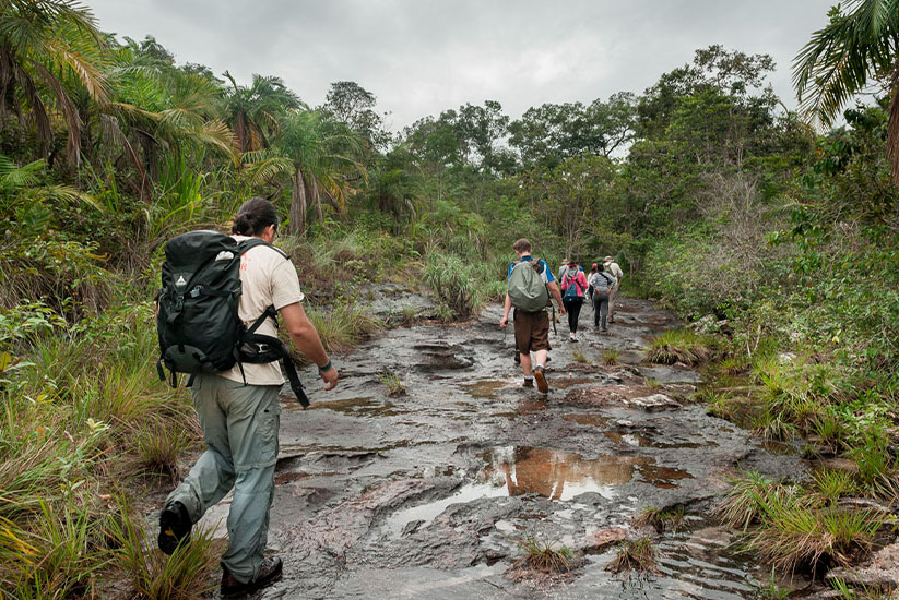 Group of hikers walking on a wet jungle trail