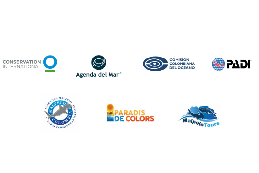 La guía fue cocreada por ProColombia con el apoyo de los siguientes actores del buceo.