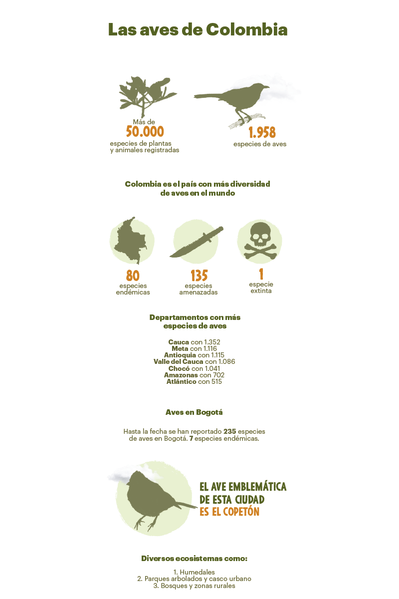 Avistamiento de aves.