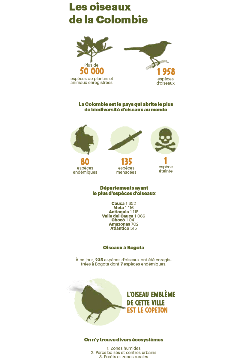 texto alternativo.