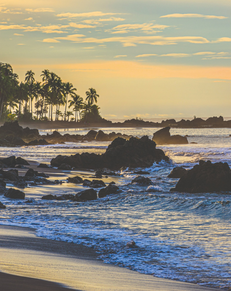 Costa del Pacífico en Nuquí, con mar azul y vegetación tropical