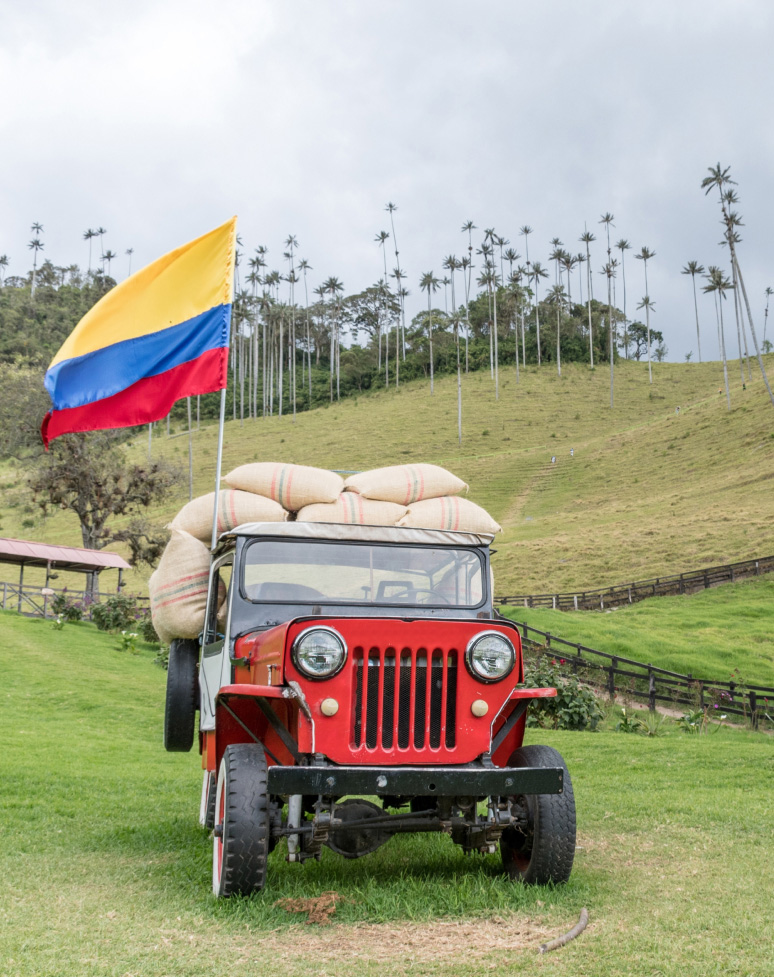 Paisaje del Valle del Cocora con palmas de cera y montañas verdes