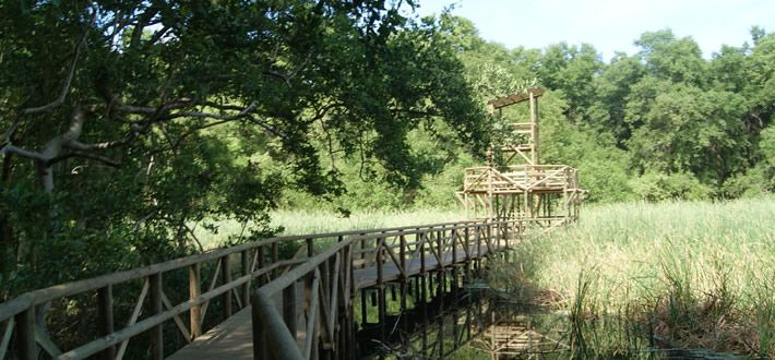 Parque Natural Isla de Salamanca de Barranquilla