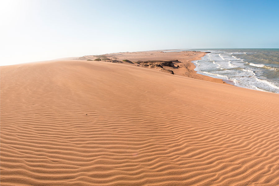 Les Dunes de Taroa, Guajira