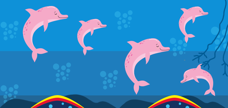 Una de las especies animales más especiales del Amazonas es el delfín rosado