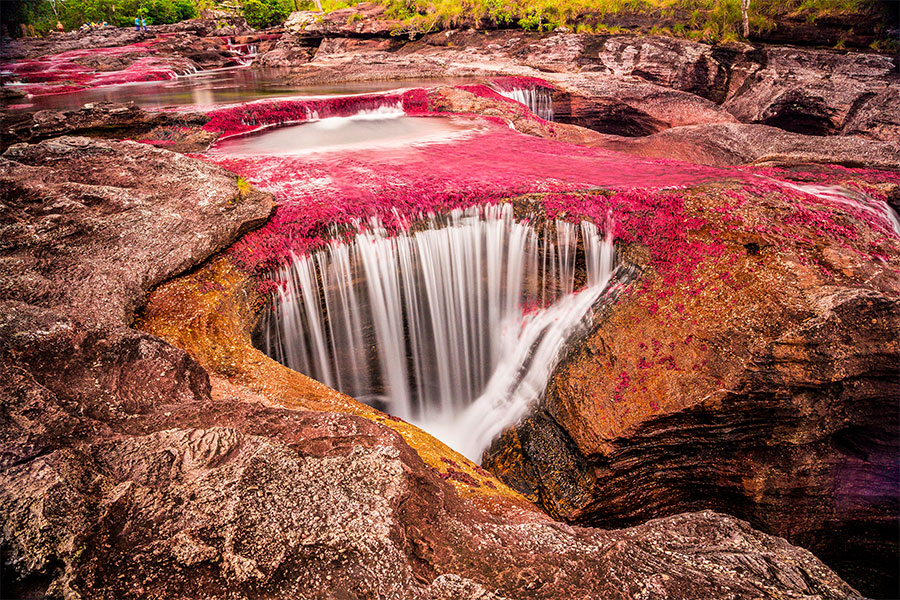 Caño Cristales, Meta