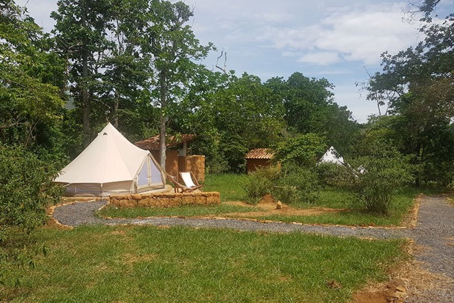 A glamping setting between the trees and nature. Get to know Nativo | Colombia Travel