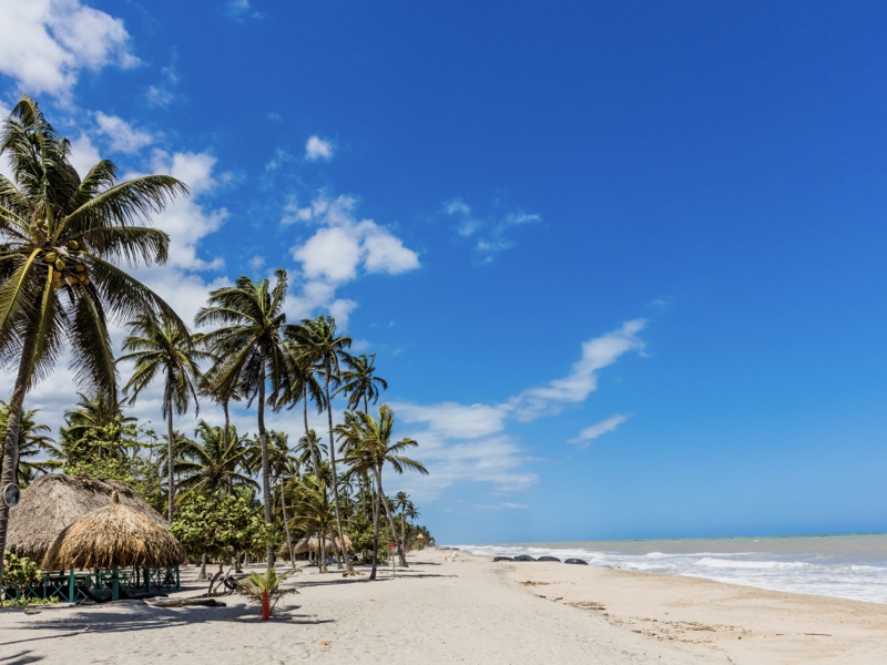 La arena blanca y las altas palmeras de Palomino son el escenario ideal para vivir un retiro espiritual.