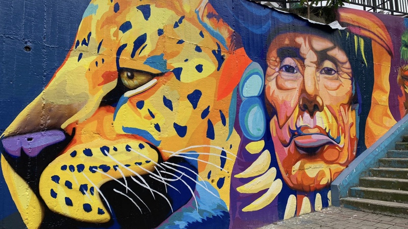 Grafitti Tour en la ciudad de Medellín. Un mural de un felino y un hombre en unas escaleras de la ciudad de 'la eterna primavera'