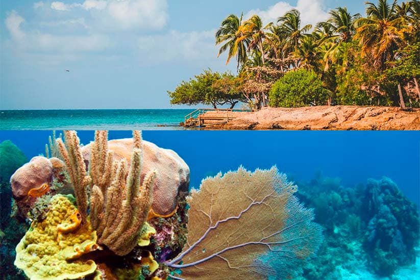 Fort Island and Low Bushnell Coral Reef