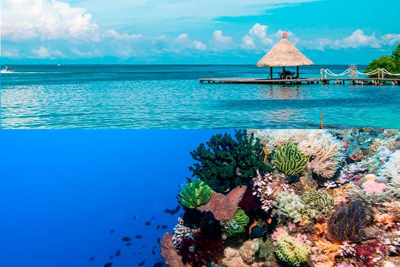 Islas del Rosario y Coral de Arrecife