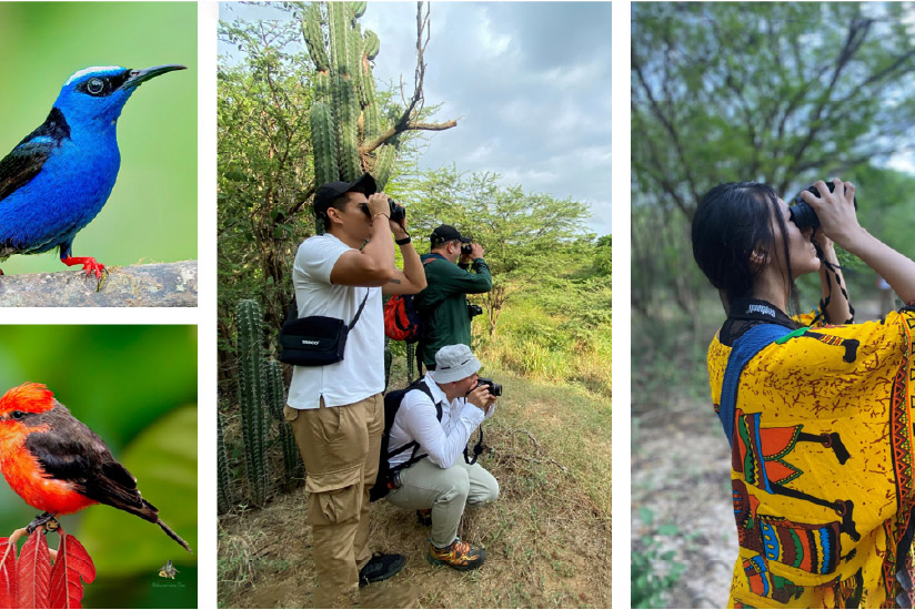La Guajira es uno de los principales lugares para el avistamiento de aves en el Gran Caribe Colombiano.