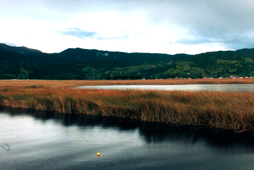Tranquil lake with reeds, green mountain and cloudy sky.