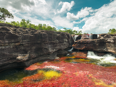 Image de Caño Cristales