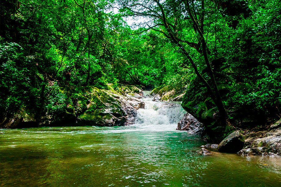 Die Wasserfälle von Marinka, umgeben von Vegetation in Minca, ist einer der Orte, die man in Kolumbien besuchen sollte