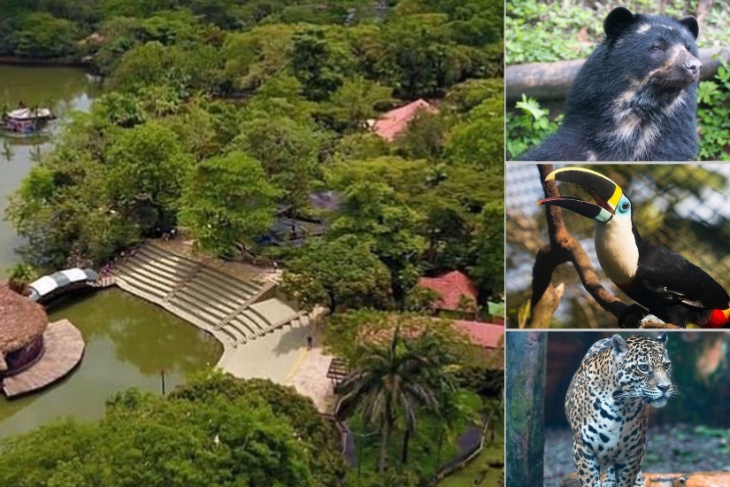 Native wildlife at Bioparque Los Ocarros in Villavicencio, Colombia. 