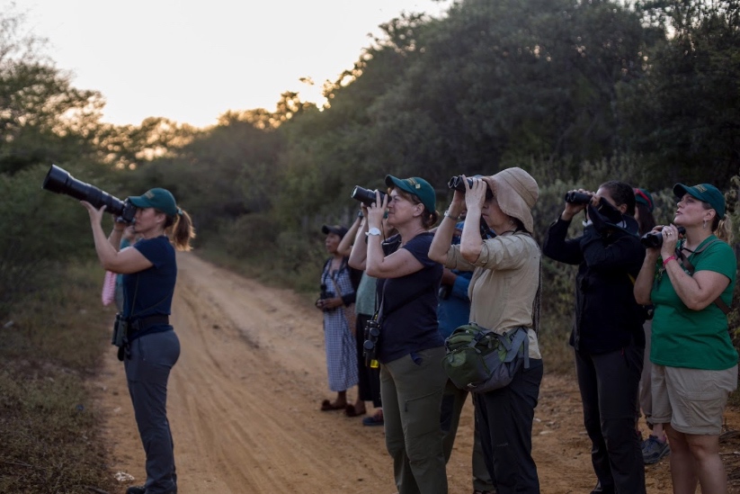 Observación de aves con Nature Colombia.