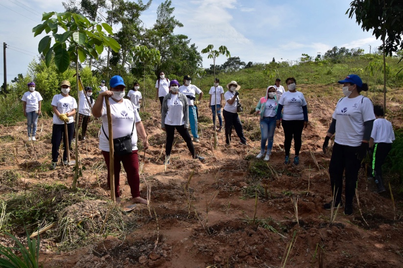La Organización Femenina Popular reforestando territorios de Santander, Colombia.
