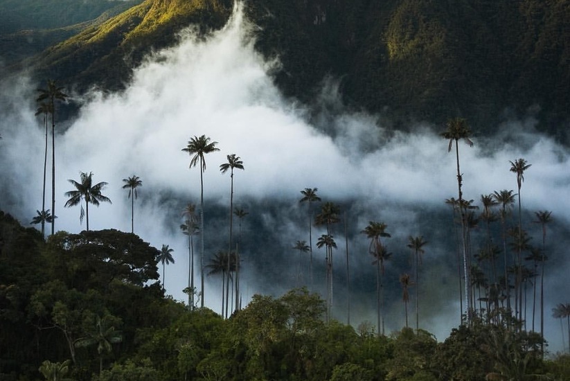 Colombia's Natural National Parks