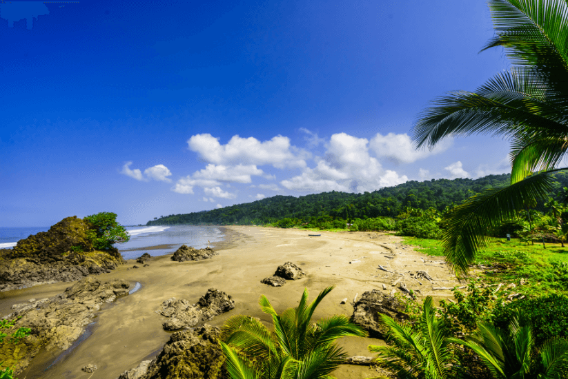 clam beach
