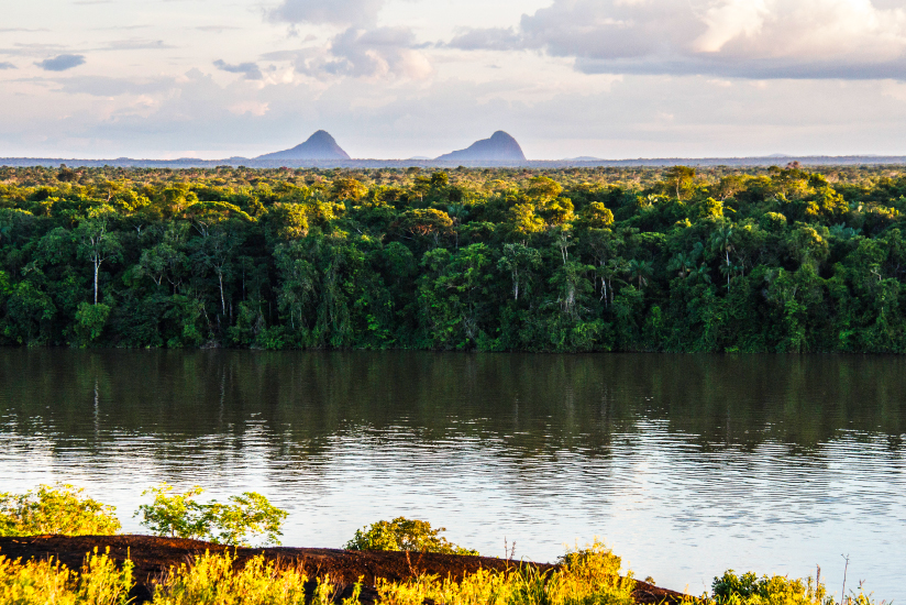 Reserva Nacional Natural –RNN Puinawai, Guainía.