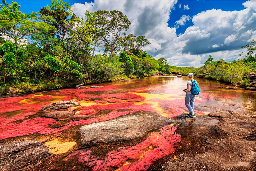 Caño Cristales, River of Colors in Meta