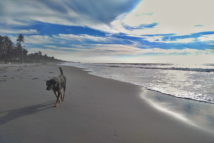  The beaches of San Bernardo del Viento are part of its tourist appeal.
