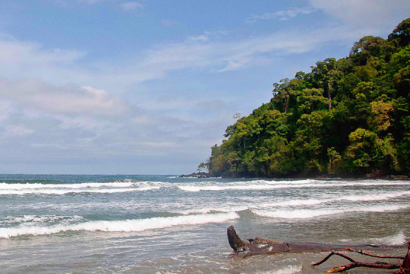Santuario de Fauna Acandí, Playón y Playona, Acandí, Chocó.
