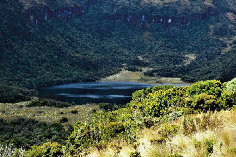 Galeras Flora and Fauna Sanctuary, Nariño, Colombia.