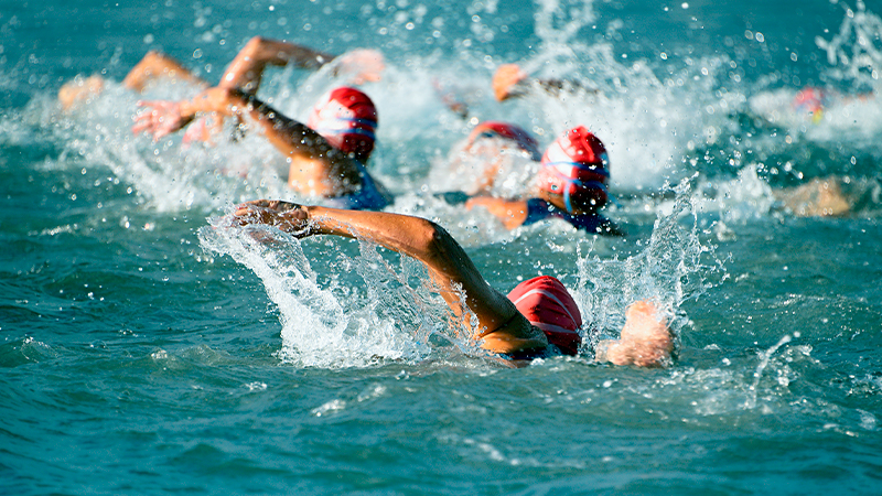 Some swimmers wearing red swimming caps while swimming on open water during a triathlon training.