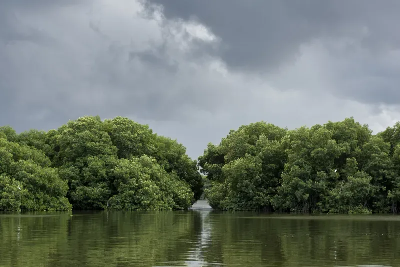 Ciénaga Nature Reserve, Magdalena