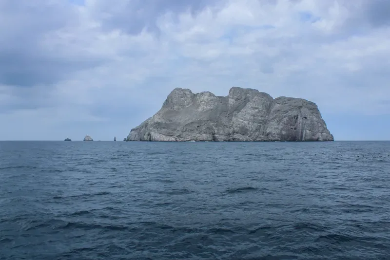 Visita la Isla Malpelo en la región Insular colombiana