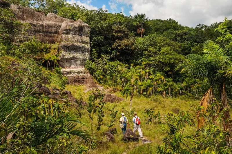 Ciudad de Piedra en San José del Guaviare, donde una roca gigantesca emerge entre la vegetación para imponerse, hace parte de la actividad de Viaje Galáctico Ancestral