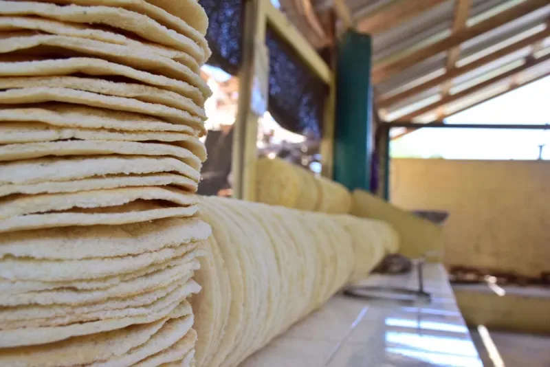 Prueba el casabe en la región amazónica de Colombia