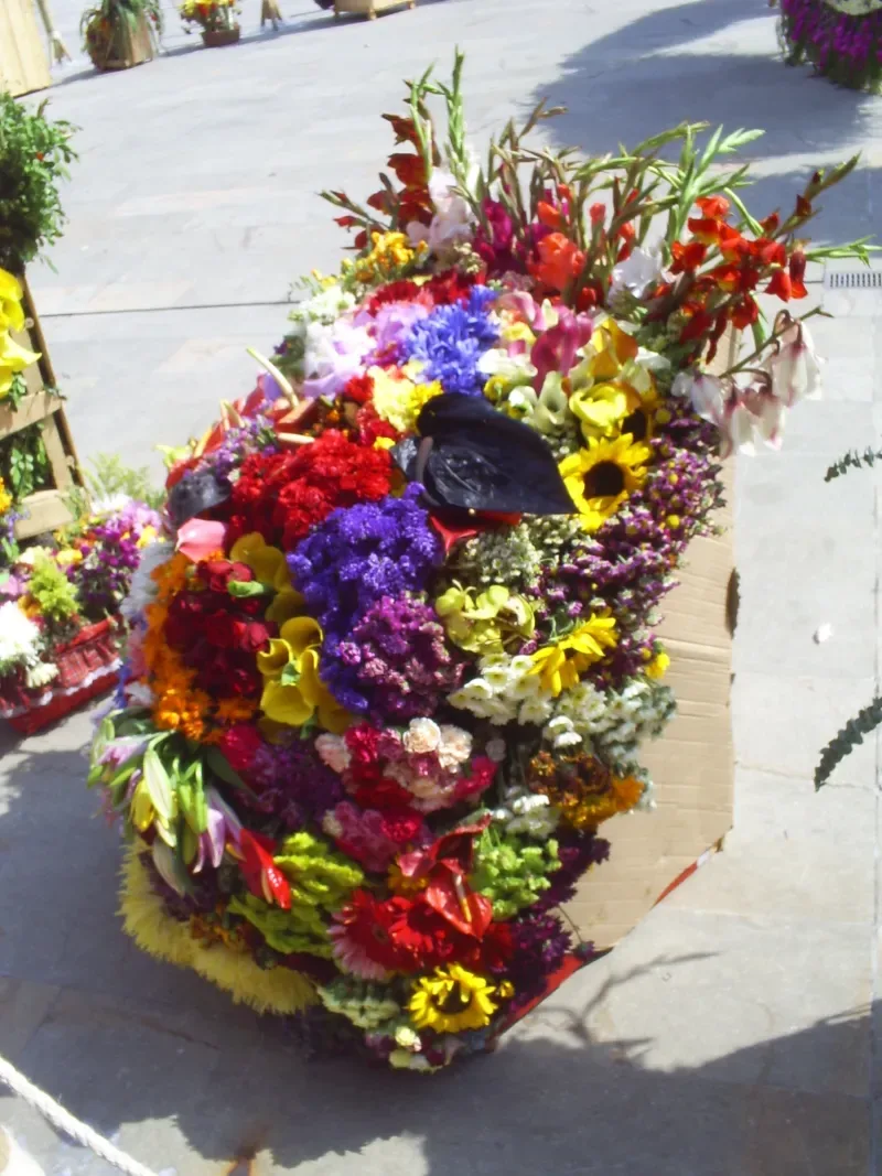 Flowera in Medellín, Colombia
