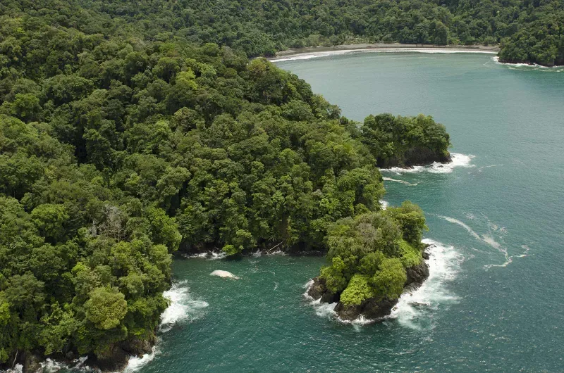 The majestic coast near Nuquí in Chocó where lush vegetation meets the blue waters